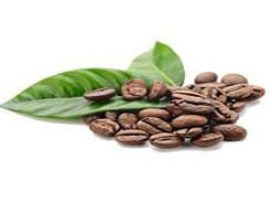 100% Blue Mountain Coffee Beans ( Coffee Traders)
