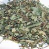 Jamaican Strong Back (Cuphea Parsonsia)