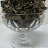 Black Jointer (Pepper Elder)