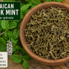Jamaican Black Mint Mentha spicata dried herb