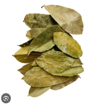 Soursop Leaves