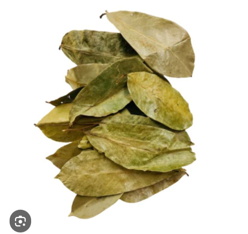 soursop leaves